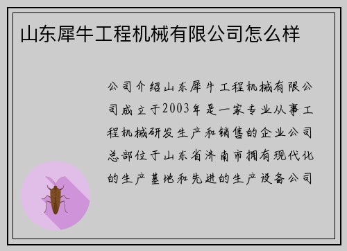 山东犀牛工程机械有限公司怎么样